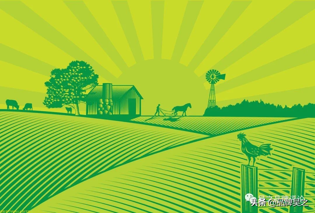 吴之讲区域品牌：对农产品品牌的6条实践理解，参考一下