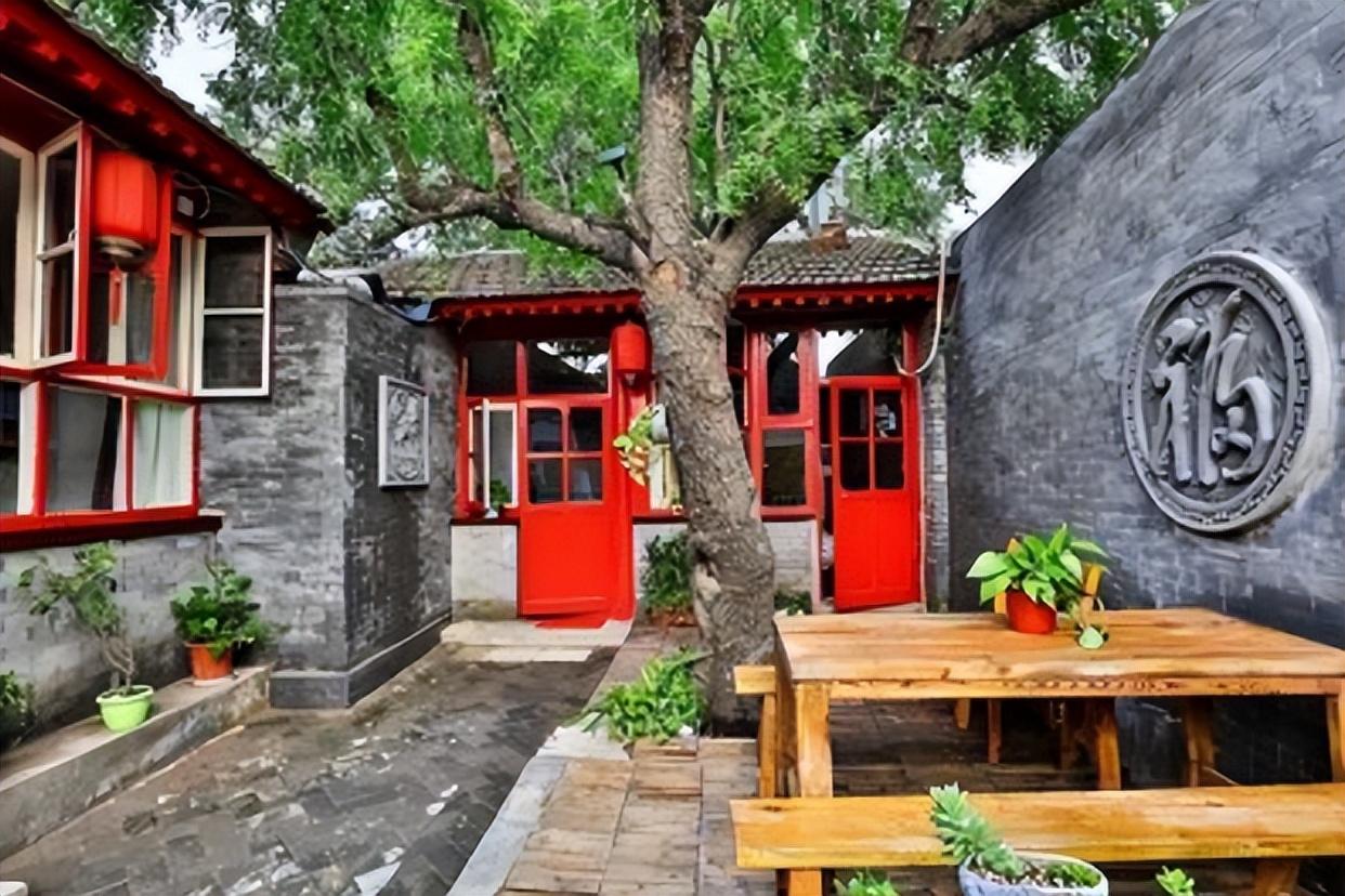 门前不栽树说法有什么讲究,五树进阳宅人穷家也败指哪五种树