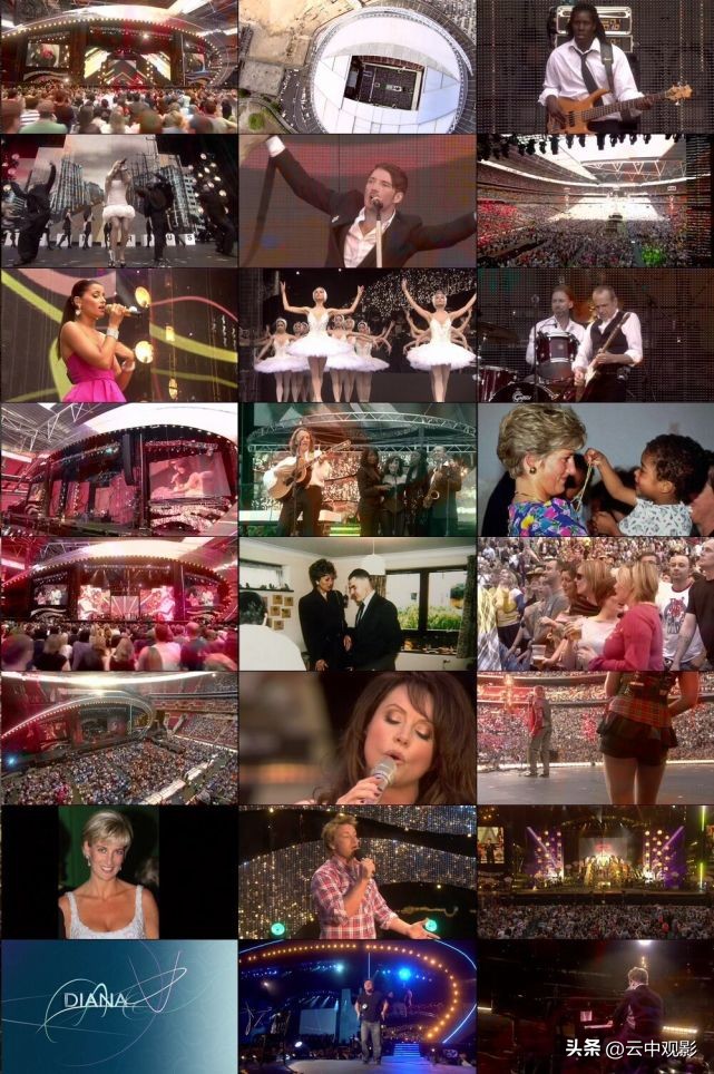 亨利与戴安娜法国,亨利王子主要内容