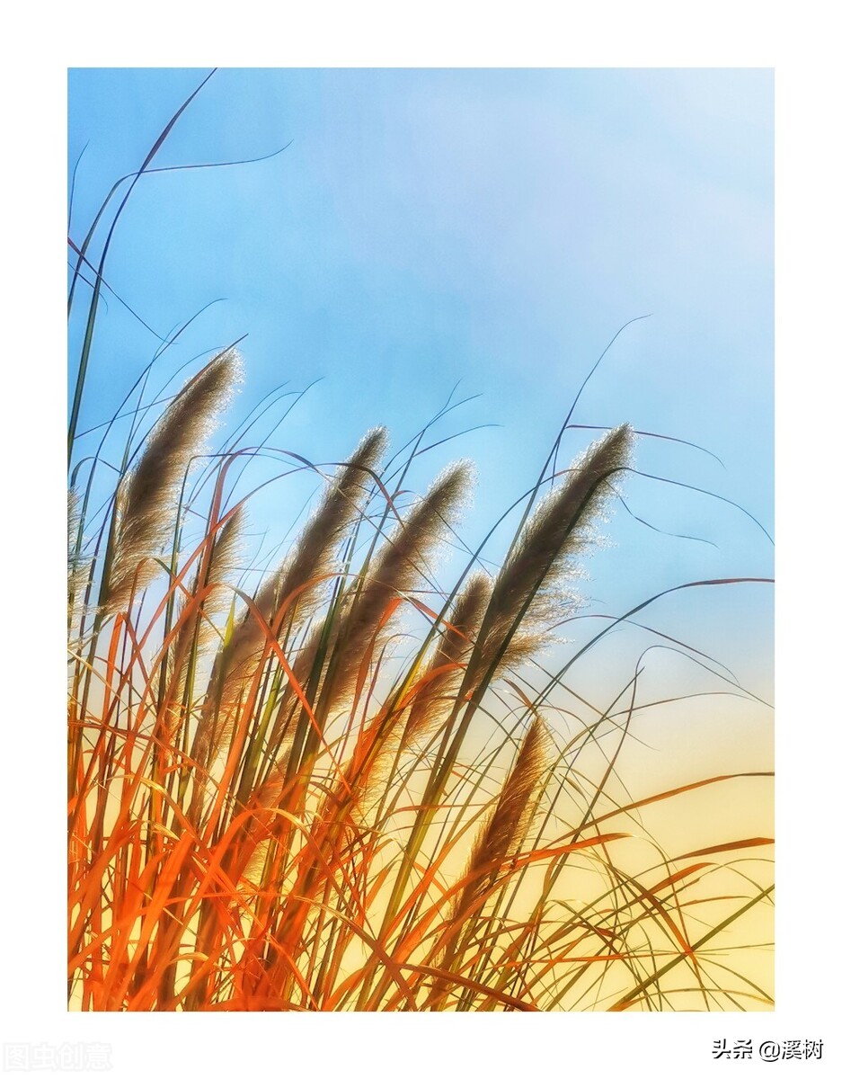 绝望中看到一丝希望,绝望中的希望片段