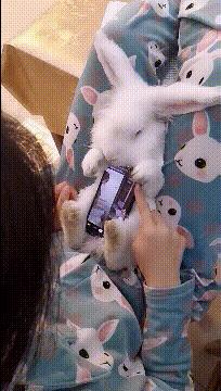 相亲对话笑话段子爆笑,笑话段子逗相亲对象开心