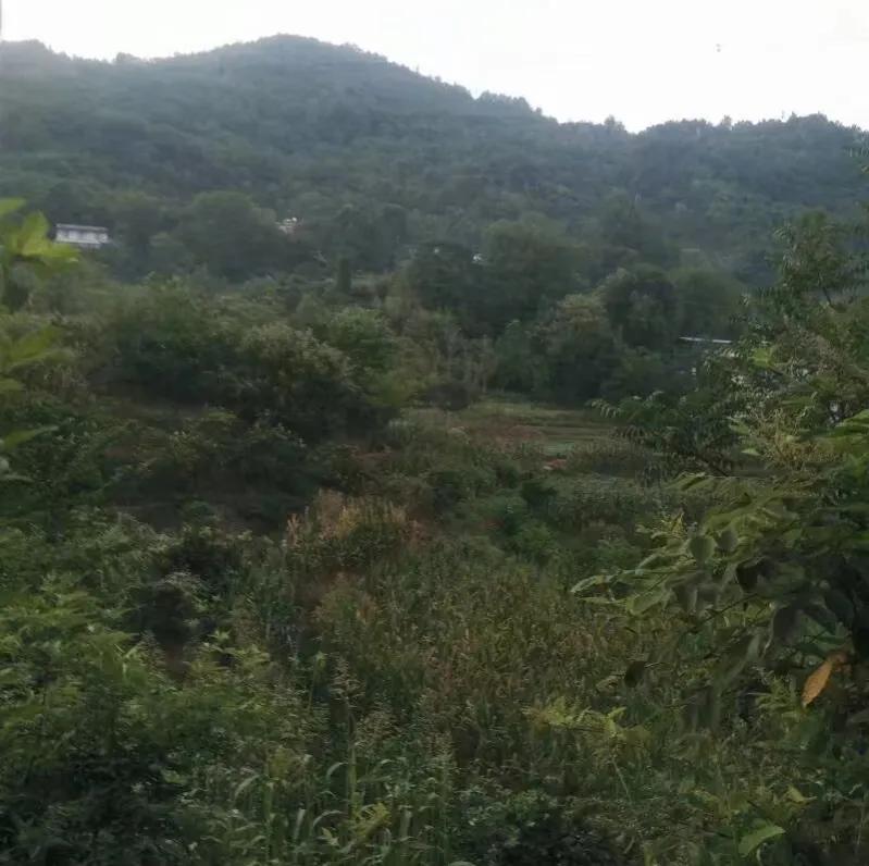 一名军转干部的从军经历,一个正团级军官退役去工地打工