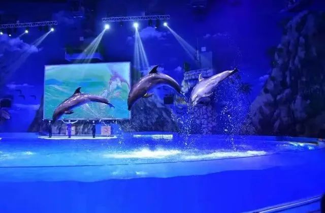 云南六一儿童节旅游攻略,云南适合小朋友旅游的地方