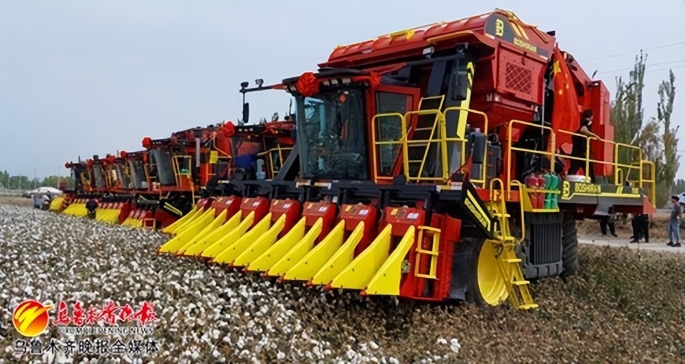 新疆工业经济保持平稳增长,经济发展亮眼文旅表现不俗