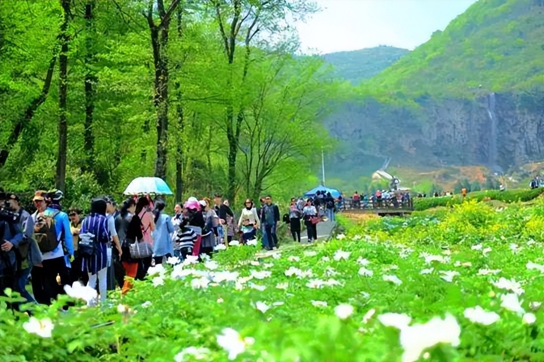 乡村装配式住宅创新,新型乡村建房装配式