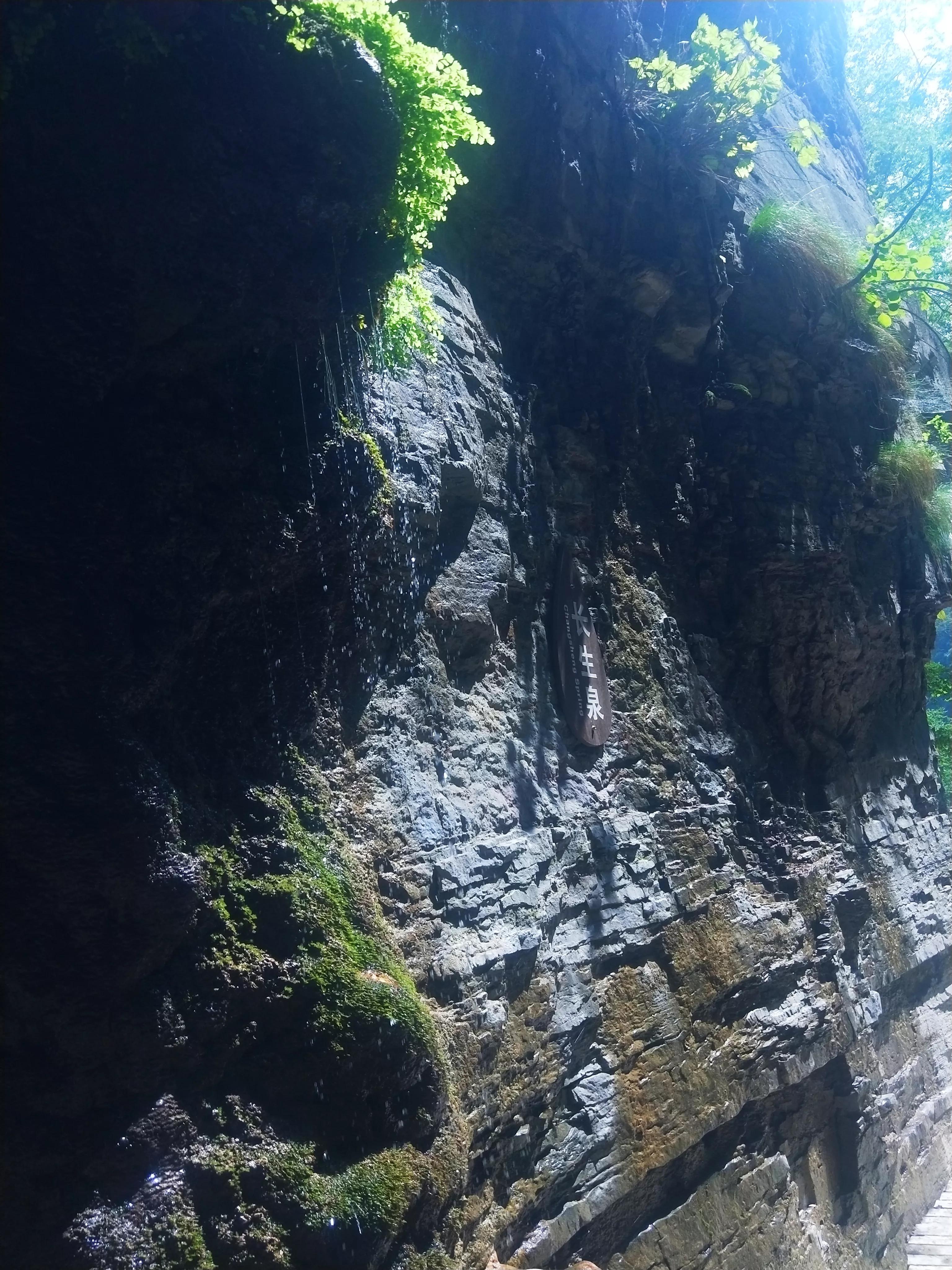 旅游的游繁体字,旅游的游踪