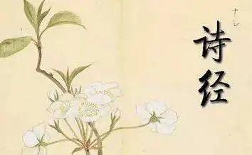 陈丽华：走进诗经里