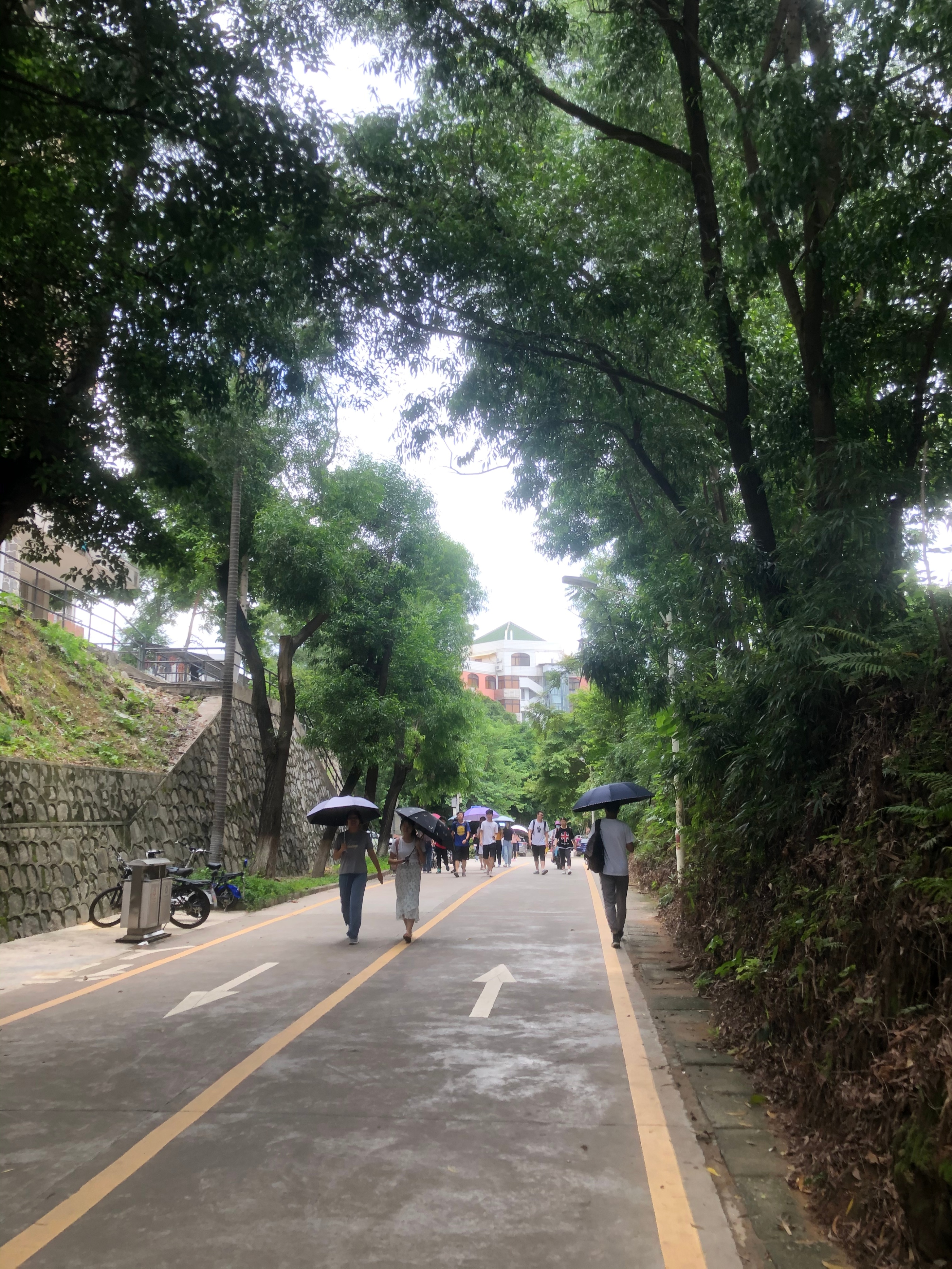 广州小城五山这个地方有多少个大学?