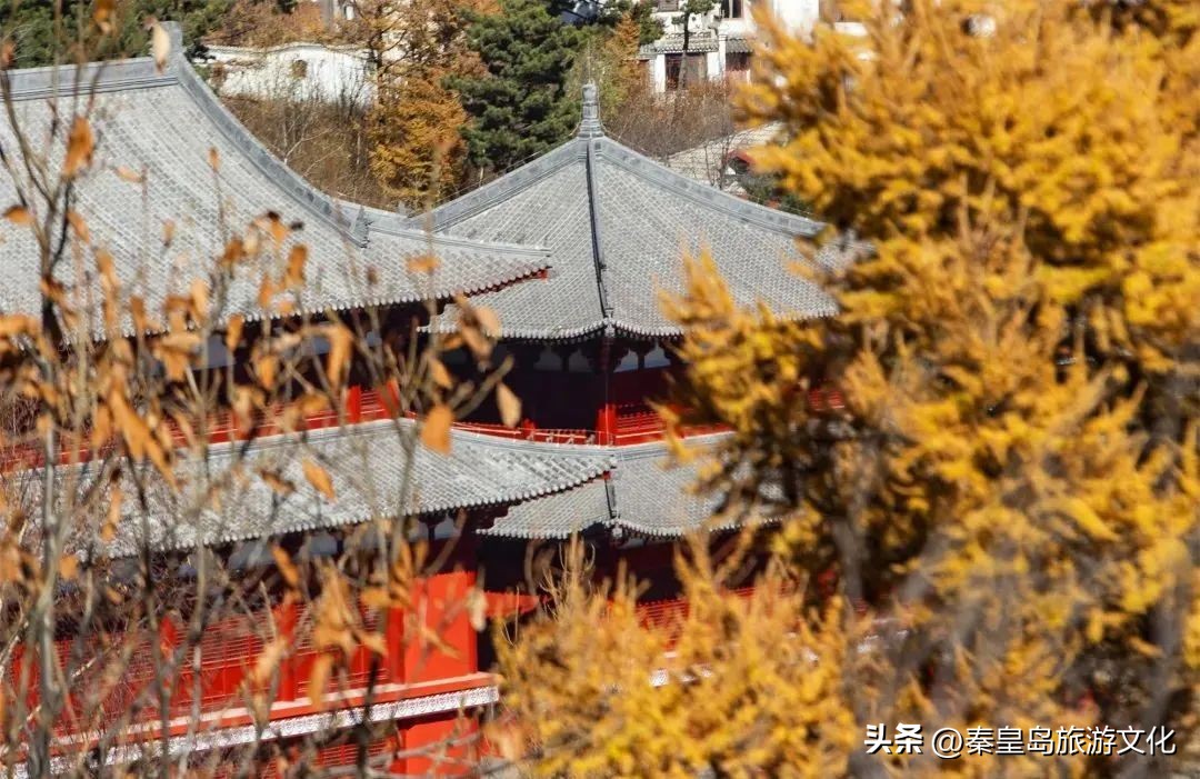 上帝打翻了秋天的调色盘,上帝打翻了调色盘诗句