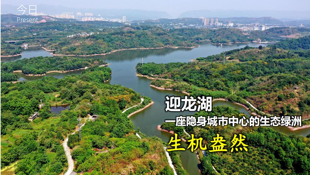 中国煤科重庆研究院,中国煤科院研究院