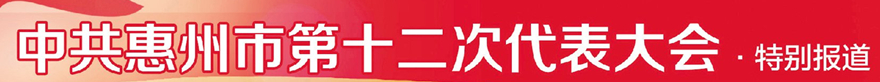 惠州市*党**代表热议：推动有效市场和有为政府更好结合