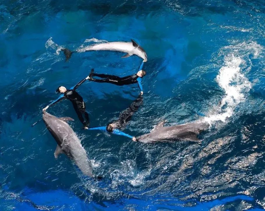 百年盛世看曲江,看曲江全景