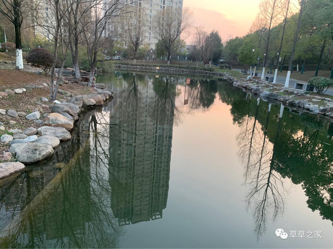合肥一中有一个后花园，你进去玩过吗？早春里的一中后花园