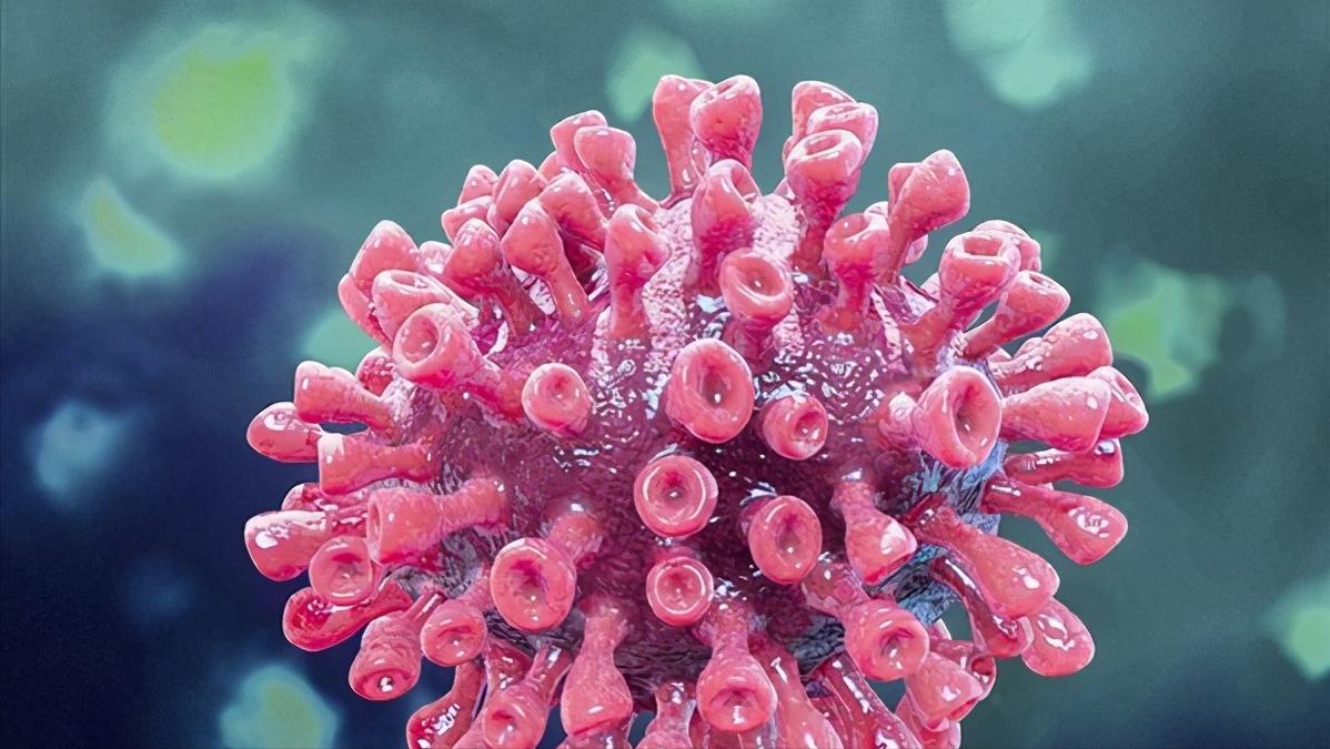 新冠特效药来瑞特韦管用吗,新冠特效药先诺特韦有用吗