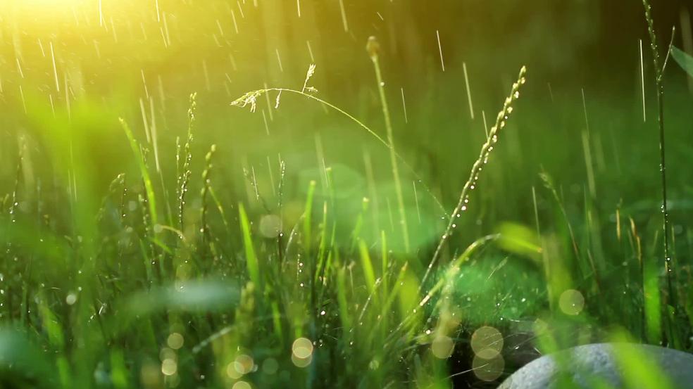 春季养生的关键是什么,春季怎么解决春困