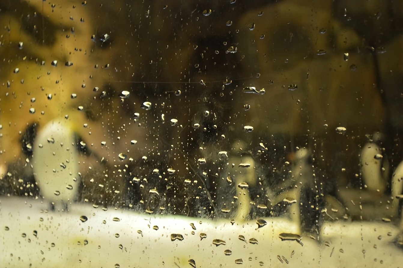 玩的就是心跳香港海洋公园,香港海洋公园经典