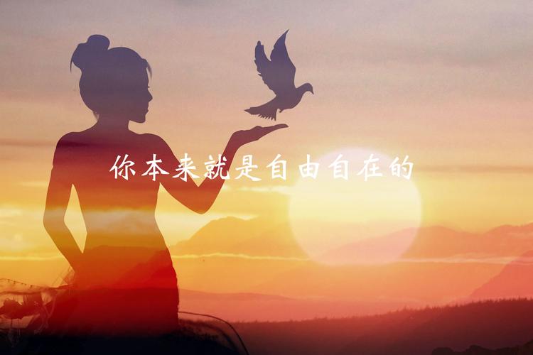 迪拜街头捡没人要的豪车,迪拜遍地废弃豪车随便捡吗