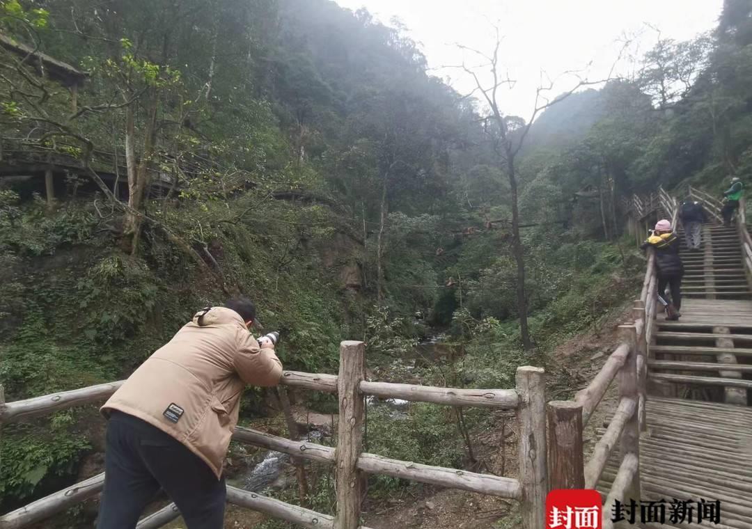 峨眉山猴群管理员,峨眉山猴群管理员工作内容