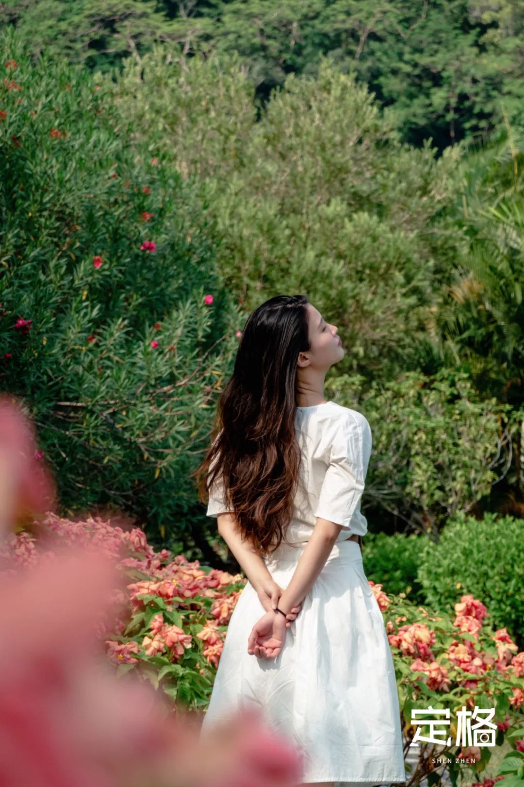 深圳湾流花山花海,深圳蝴蝶谷花海图片