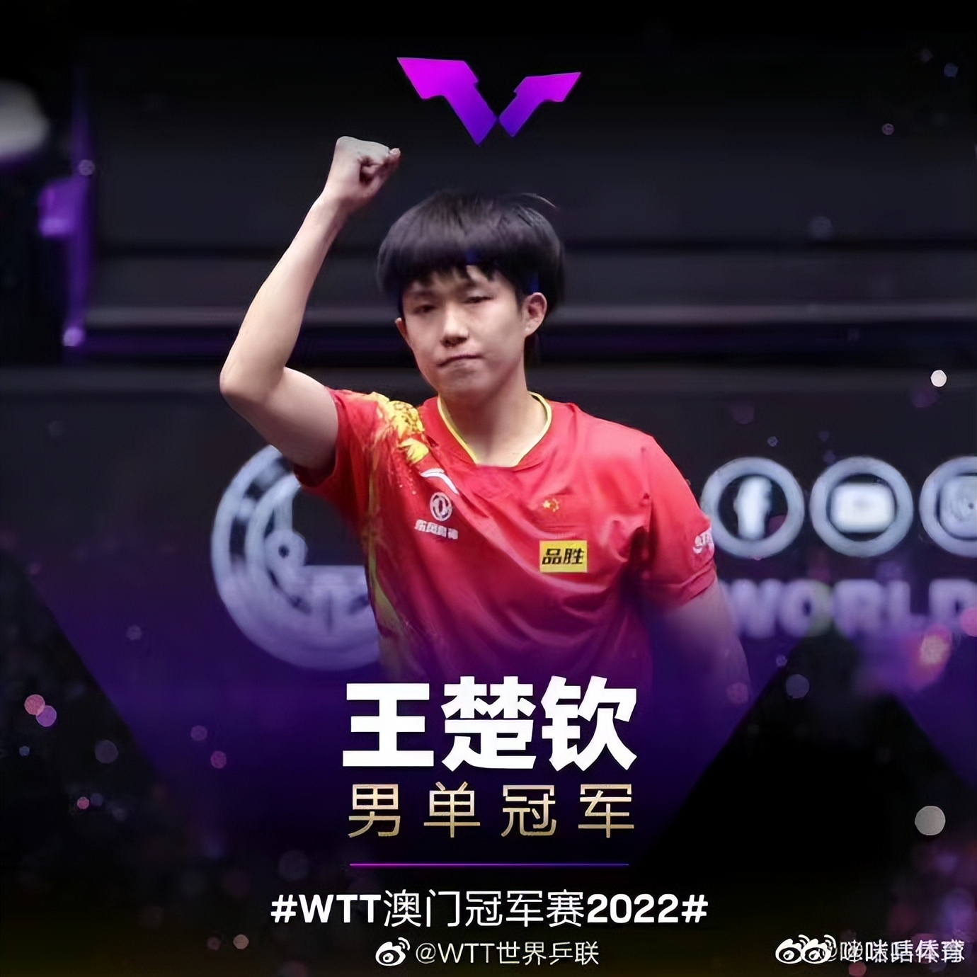 王楚钦勒布朗比赛,王楚钦沙利文