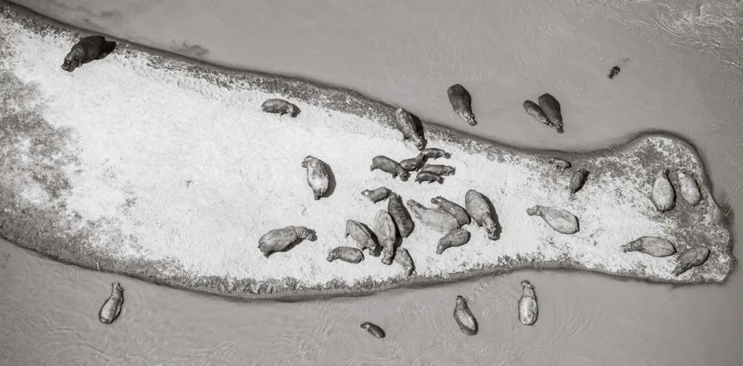 40张国际摄影奖顶尖作品震撼人心,世界摄影获奖人物震撼图