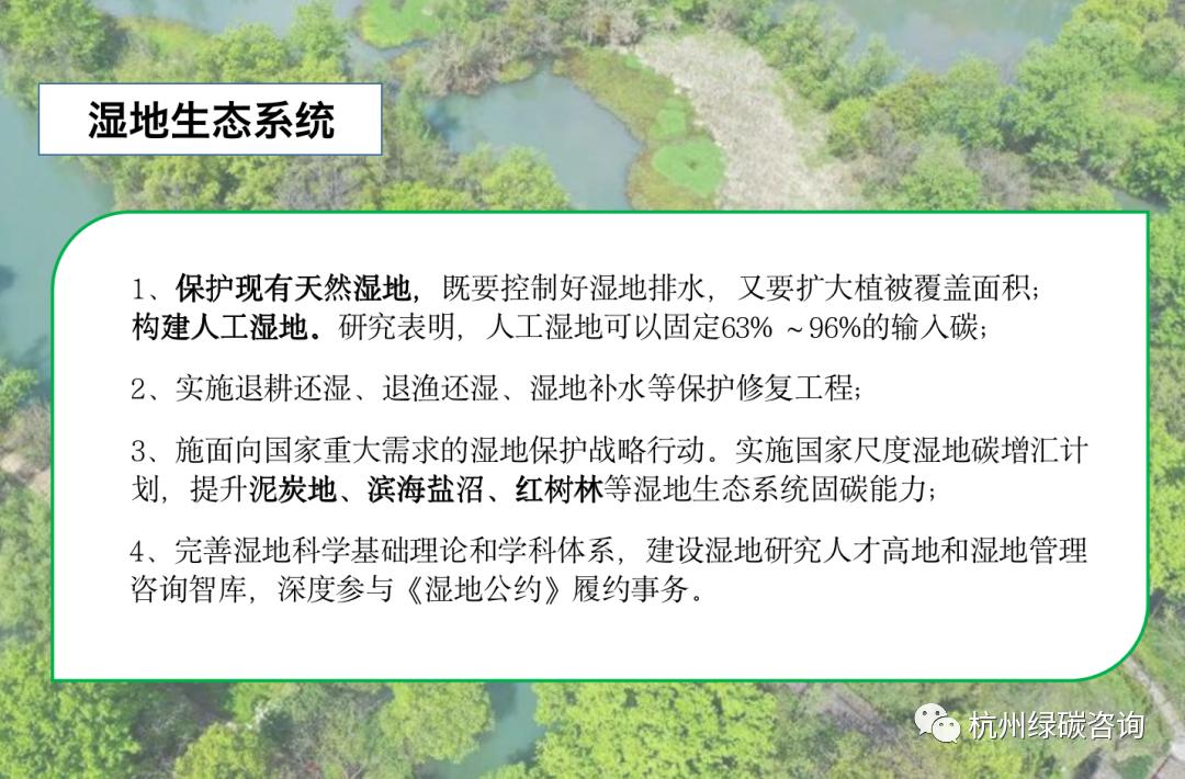 没有资源怎么开发林业碳汇,如何让林业碳汇项目变得容易