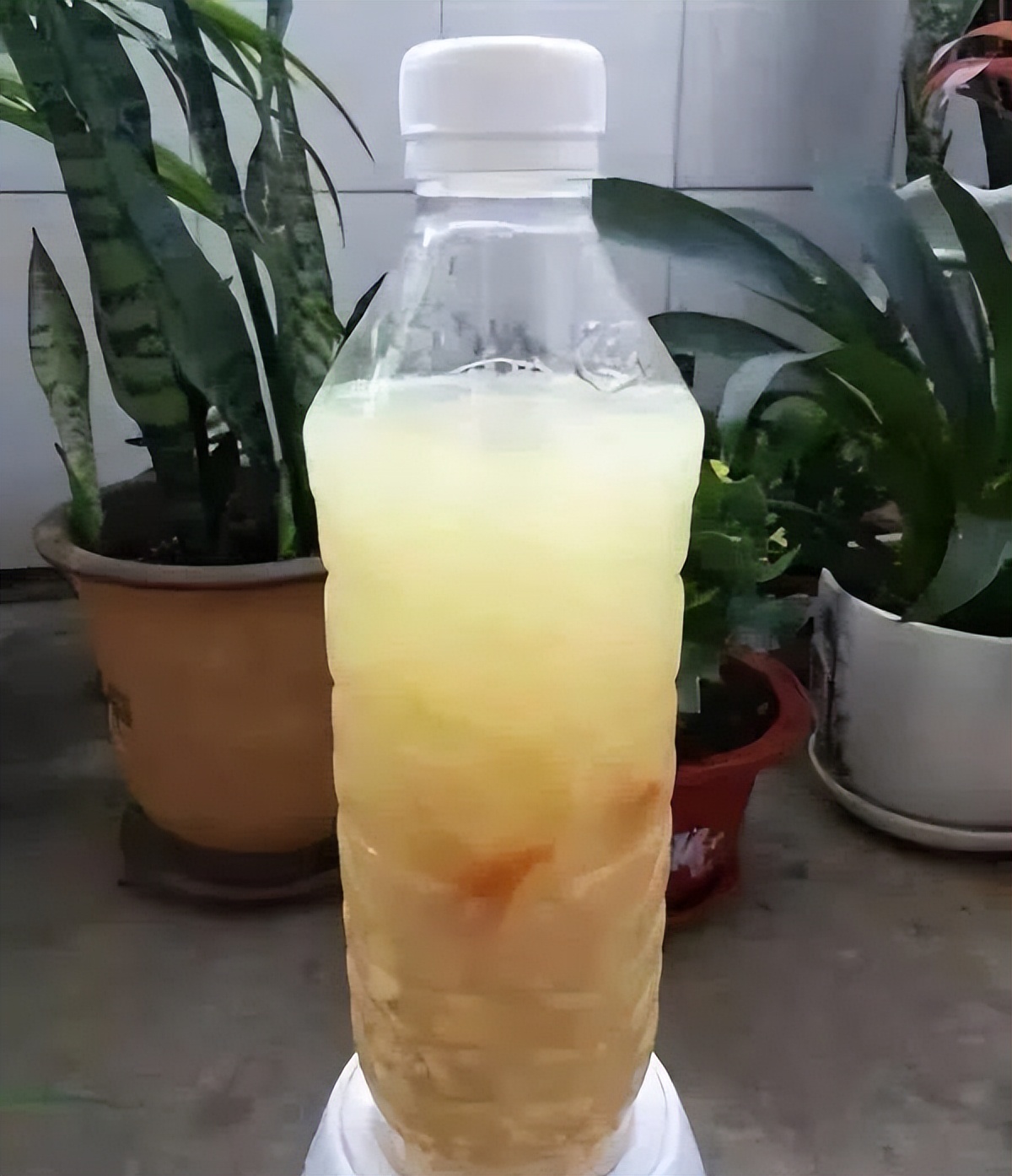 塑料养花小桶,塑料桶养花种菜