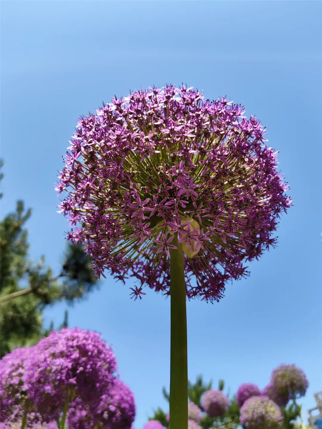 海淀旅游必去十大景点推荐,海淀区旅游免费景点推荐