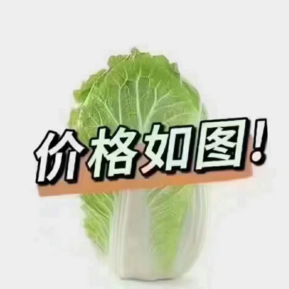 私人物品海运到加拿大如何付款,个人在国外带东西回国要收关税吗