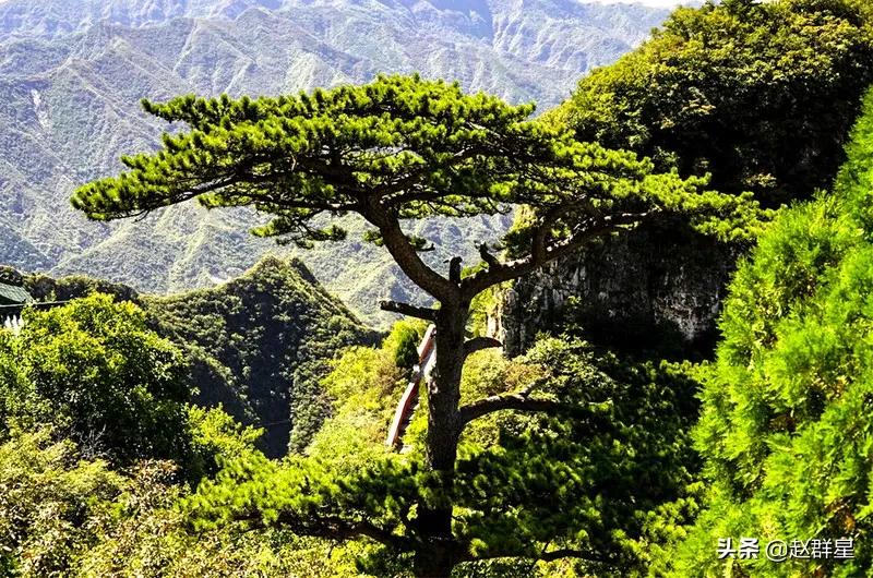一个彩色的梦,一个深刻的梦