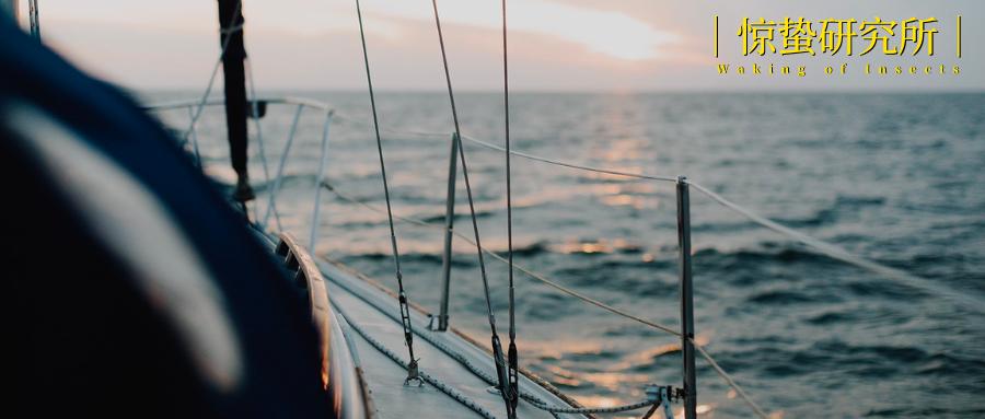 中企出海如何破解成长的烦恼,中企出海亮点纷呈