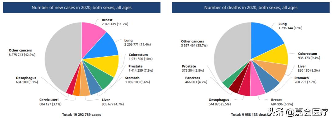 嘉会国际医院,上海嘉会国际医院肿瘤中心