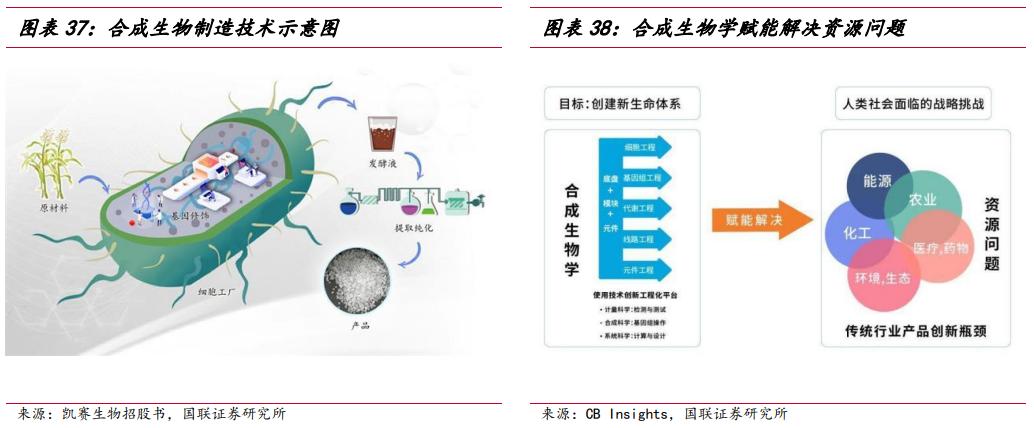 武汉嘉必优生物技术,嘉必优武汉生物
