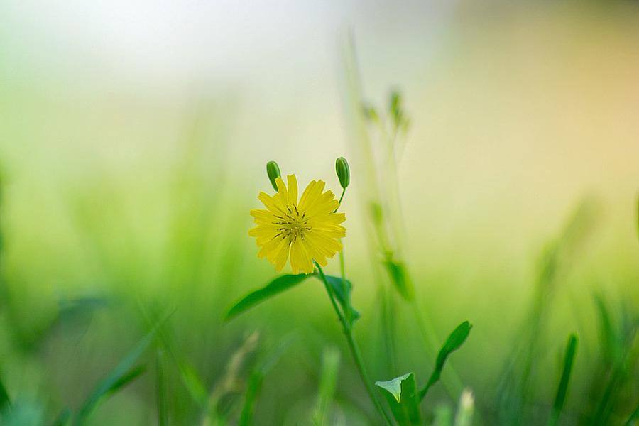 爱一个人的最高境界其实就一句话,爱一个女人的最高境界是什么