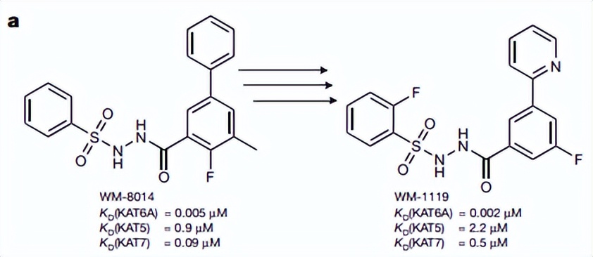英矽智能提名用于ER+/HER2-乳腺癌治疗的靶点，辉瑞、拜尔已布局