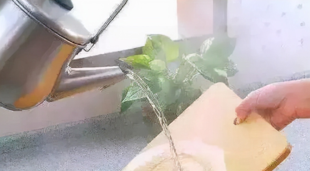 菜板发霉如何处理,菜板发霉处理方法