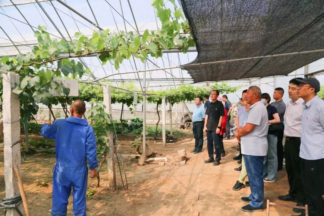 党的生日歌唱东方红,党的生日演唱女声版