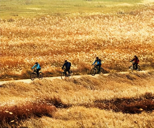 美美烟火气,城市里的烟火气南昌