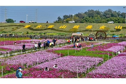 佛山三水白坭附近的旅游景点,佛山三水出发黄姚古镇旅游攻略