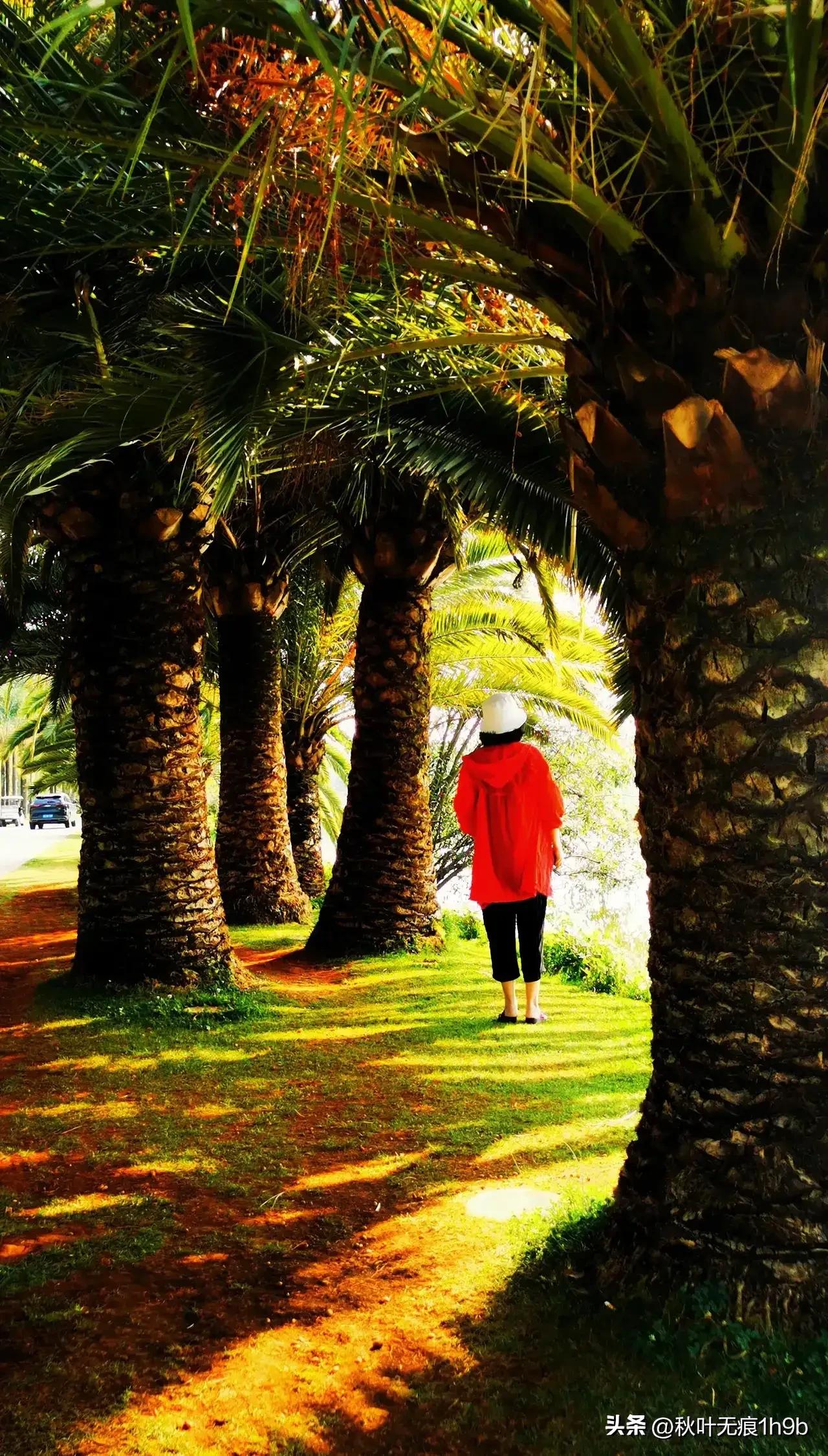 55天云南的孤独之旅,60岁老人拍55天云南的孤独旅行