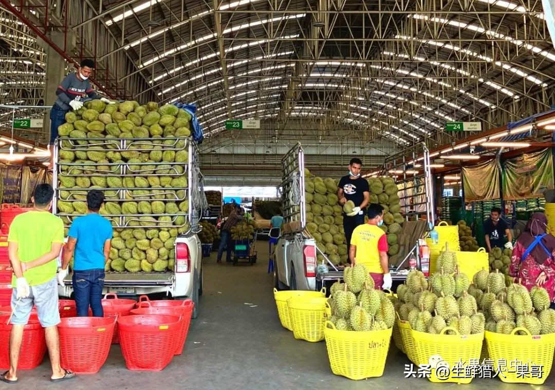 世界第一果蔬批发市场,中国十大果蔬批发市场