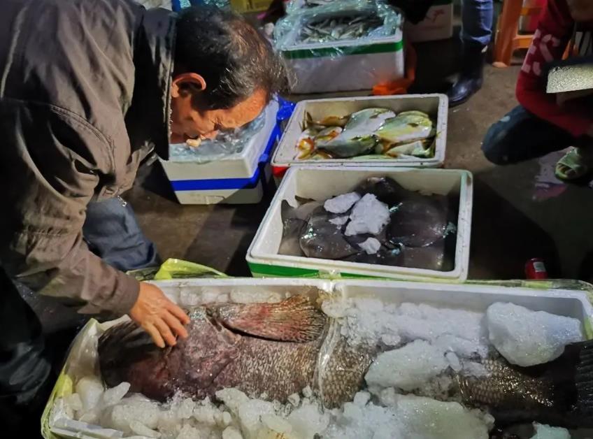 北海的海鲜便宜还是防城港的便宜 (北海吃哪些海鲜便宜)