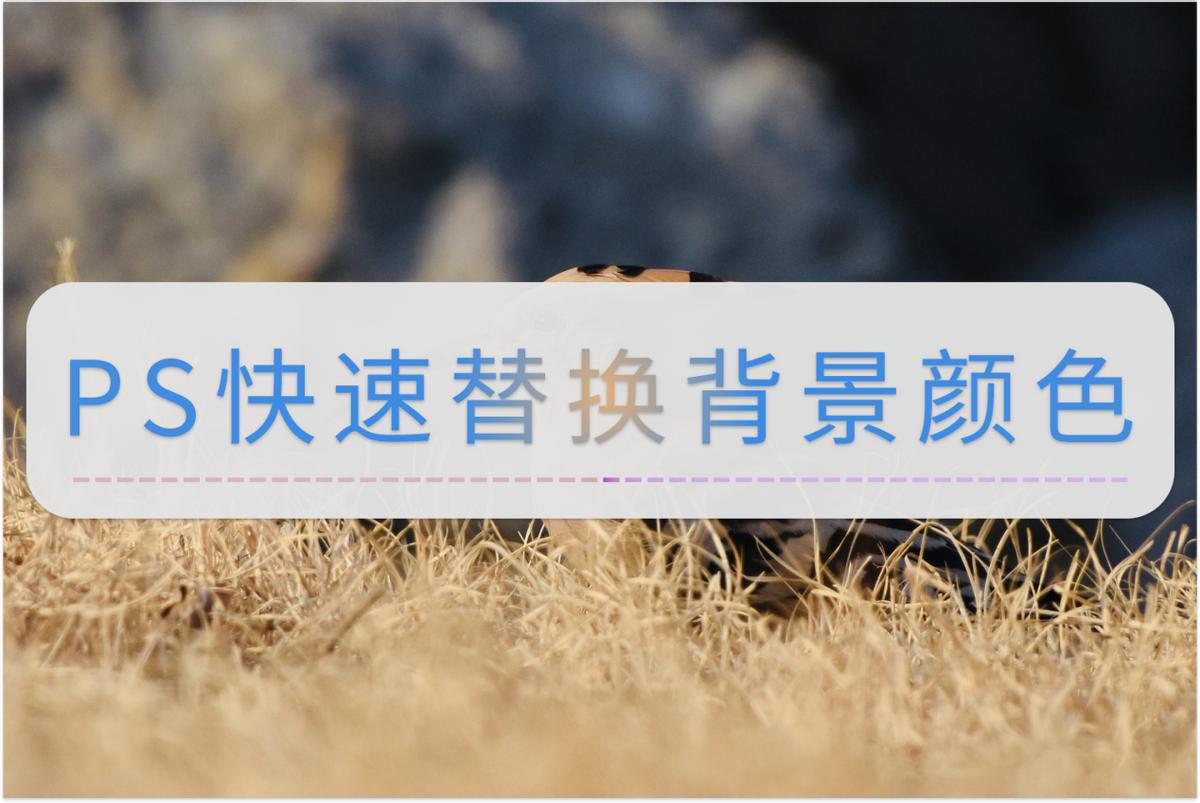 ps里最简单替换背景颜色方法,ps替换照片背景颜色