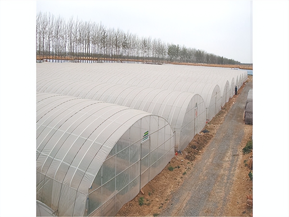 适合无土栽培的温室大棚成本造价,温室大棚的土建基础造价明细表