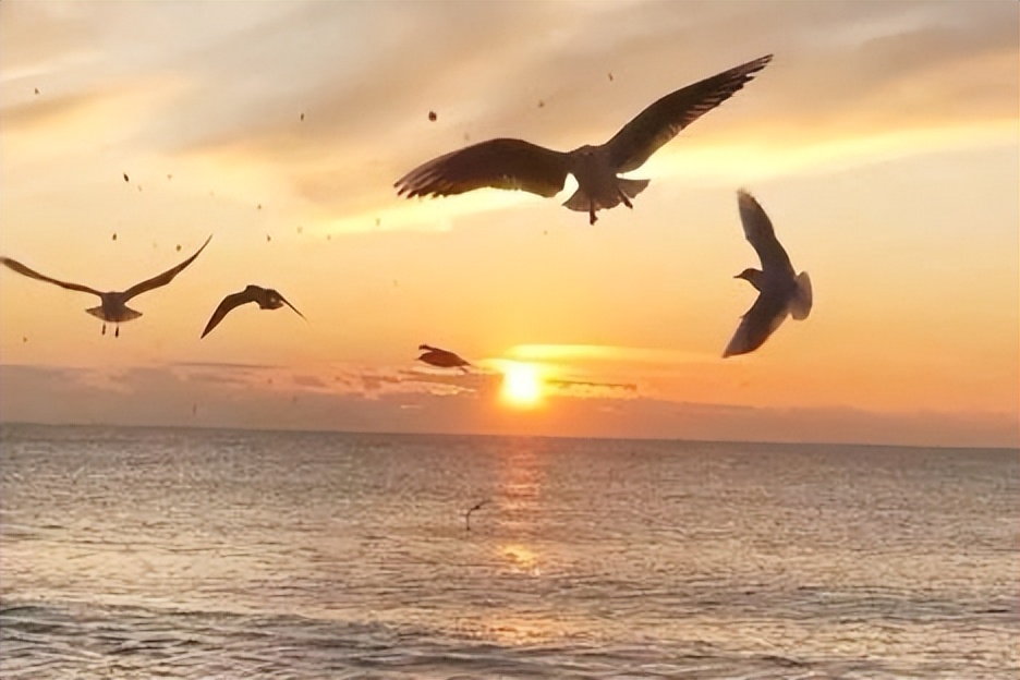 人生怎样活才合适,人生怎么才能活好自己