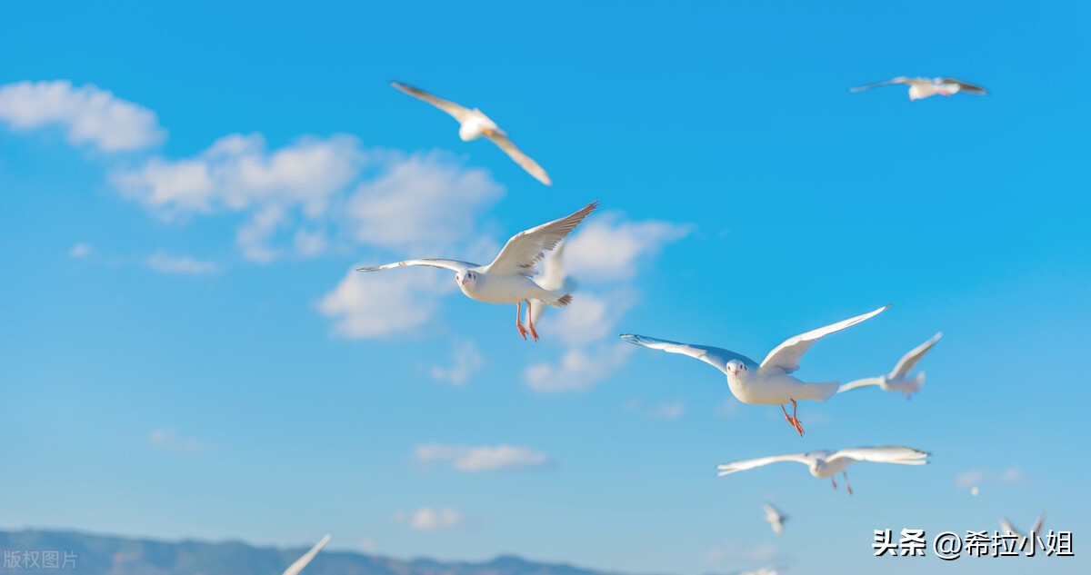 昆明附近有什么好玩的地方一日游,昆明周边好玩的地方推荐大年初一