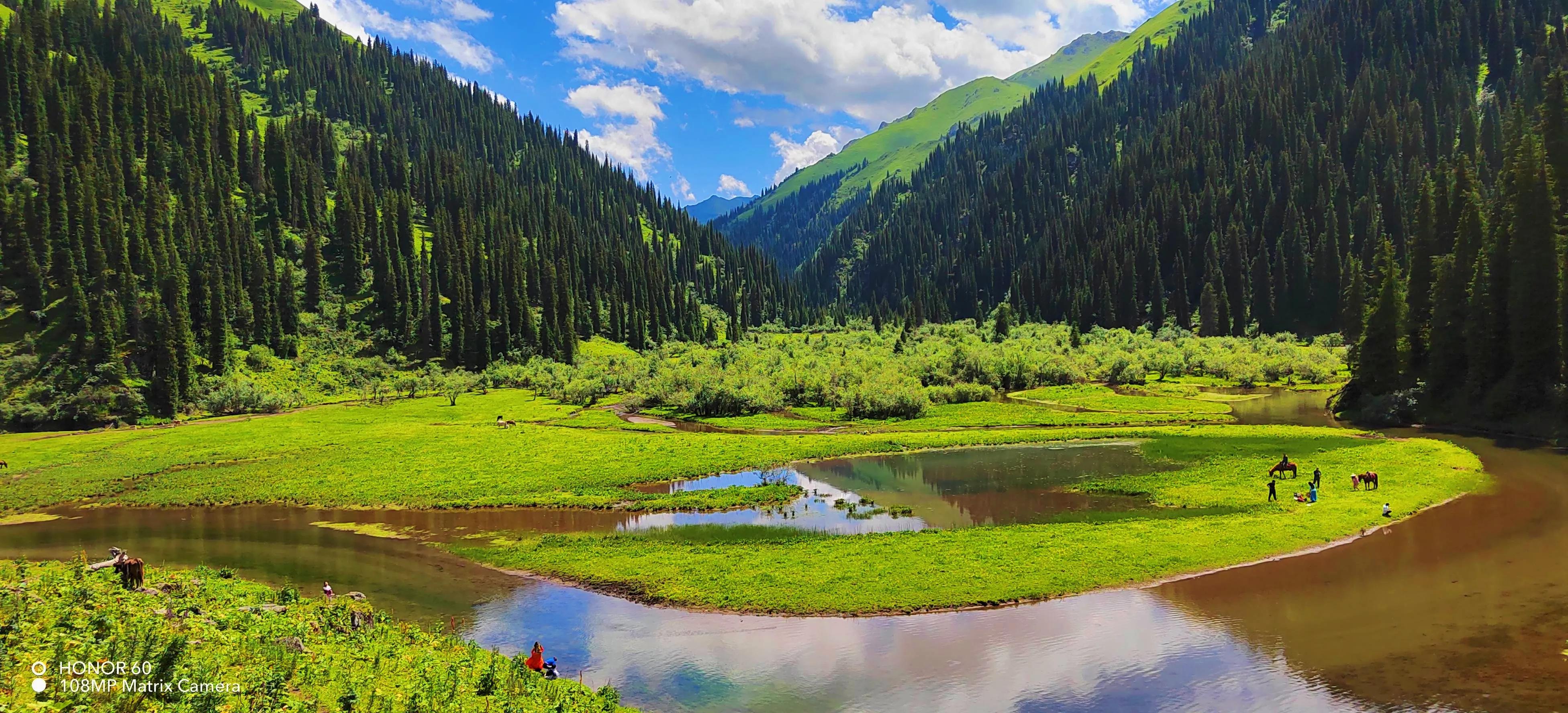 穿越森林探险视频,穿越森林探险之旅