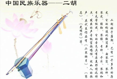 中国传统乐器二胡的前世今生,中国二胡的传承发展令人欣慰
