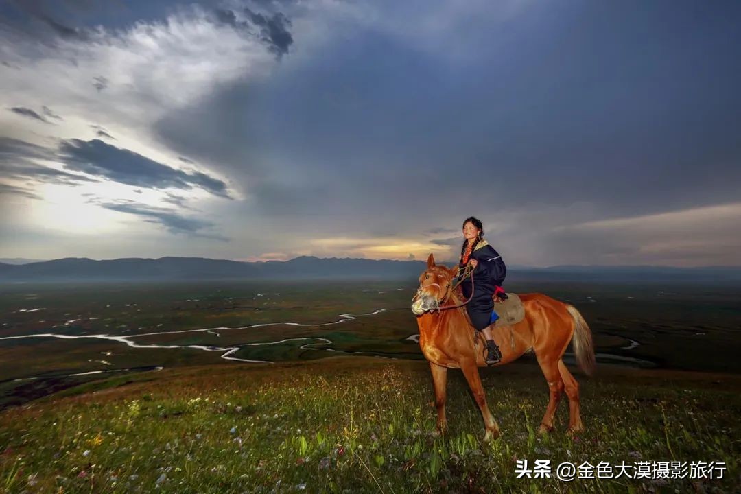 九色甘南之夏歌曲,九色甘南赏秋之旅