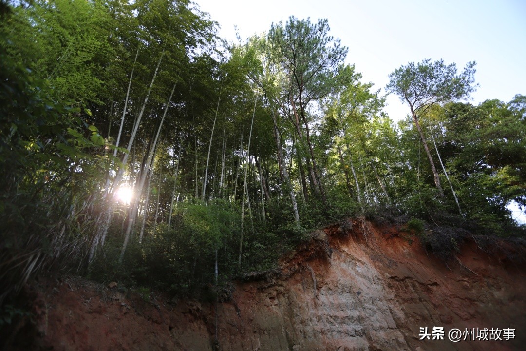 红五军团全集,红二十五军活动